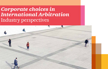 Arbitration Survey 2013