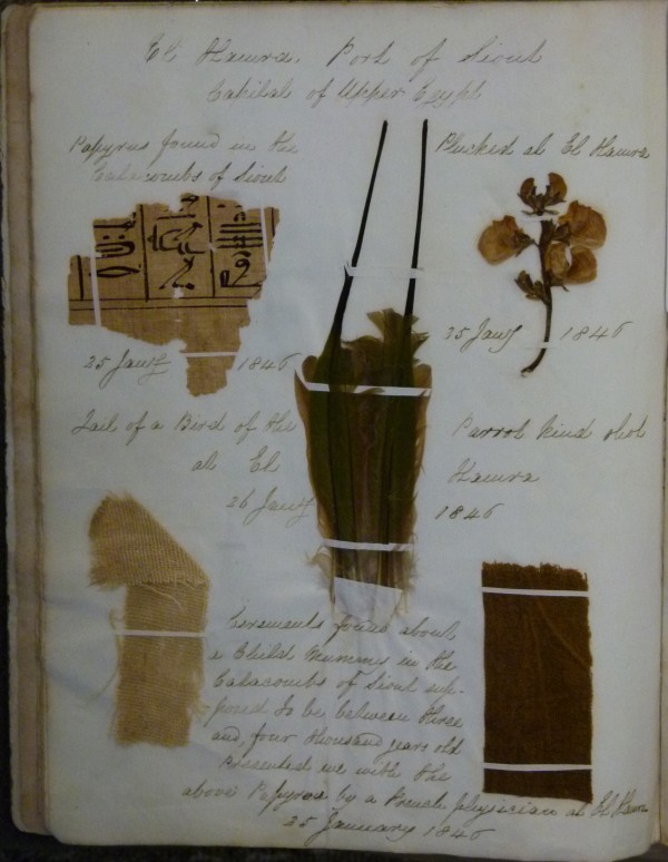 Colour photograph of a page from a notebook with samples of papyrus, cloth and plant material with handwritten notes