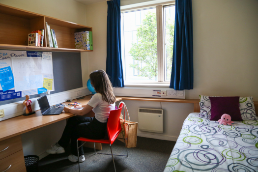 An image of a student sitting at a desk in student accommodation
