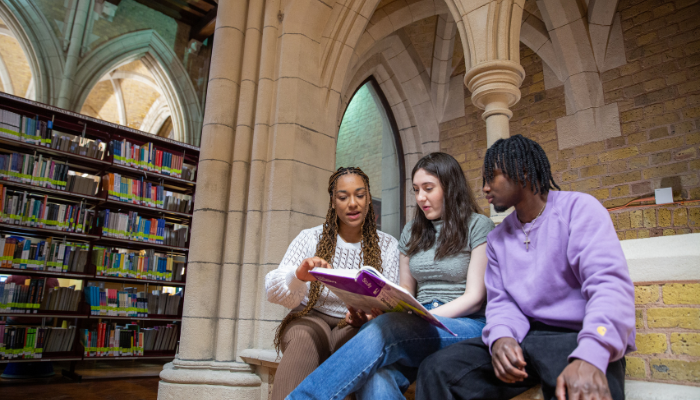 A group of students sitting in a library reading books