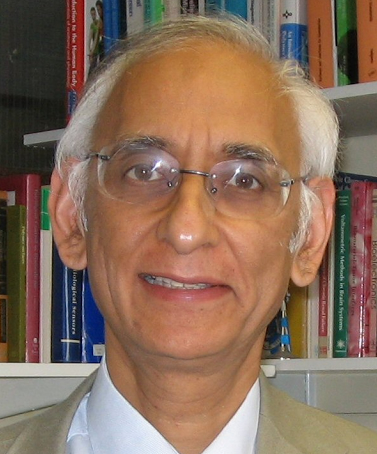 Prof Pankaj Vadgama