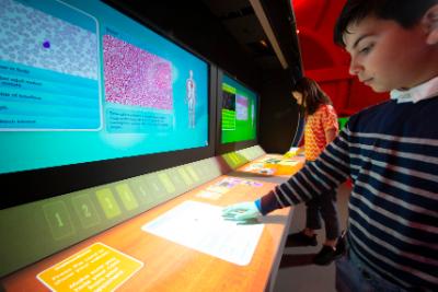 Children interacting with buttons and screens