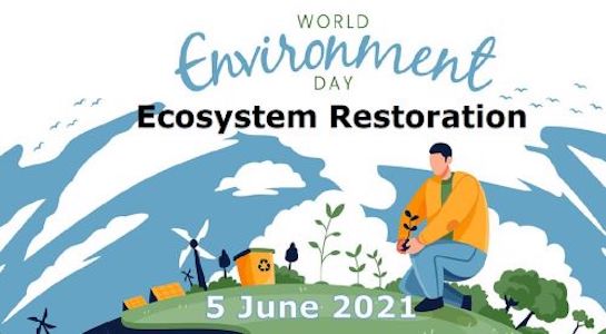 World Environment Day 2021 logo