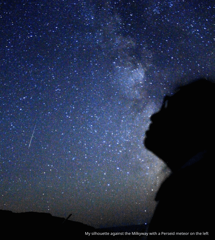 Photo of Perseid Meteor taken by alumna Gurjeet Kahlon
