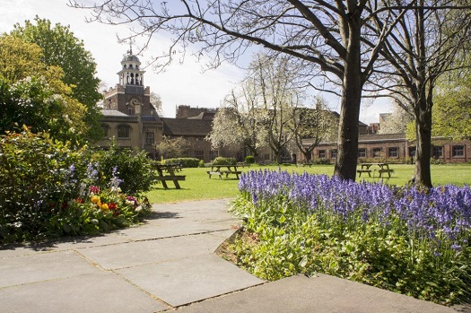 Charterhouse Square campus showing lawn in springtime