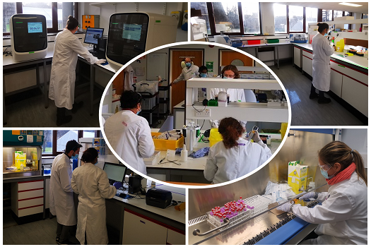 Images from the COVID-19 laboratories at the Wolfson Institute