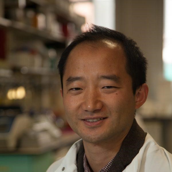 Picture of Dr Jun Wang in lab