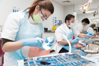 Dentistry students in lab