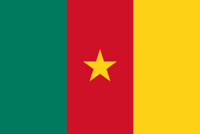 Flag for Cameroon
