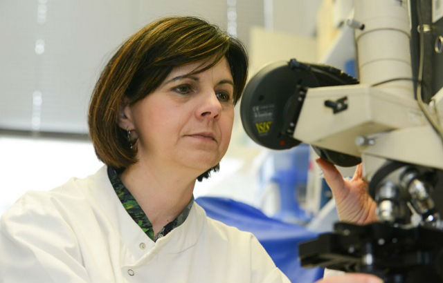 Queen Mary researchers develop novel detection practices, reducing invasive procedures