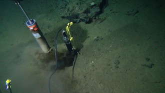 Photographs taken from ALVIN, a manned deep-ocean research submersible, taking sediment cores at the ocean floor of the Dorado Outcrop in 2014. Credit: Geoff Wheat, NSF OCE 1130146, and the National Deep Submergence Facility.