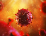 An HIV cell