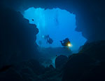 Deep-sea ecosystems are potentially at risk from deep-sea mining according to Queen Mary University of London research.