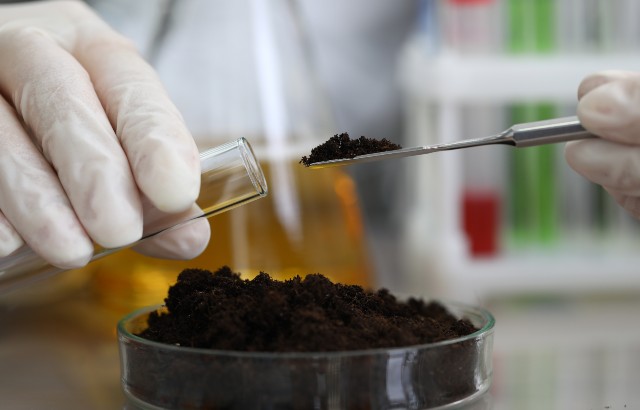 Soil sample in a laboratory