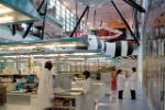 Laboratories at the Blizard Institute, QMUL