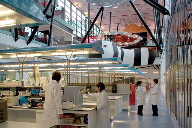 Laboratories at the Blizard Institute, QMUL