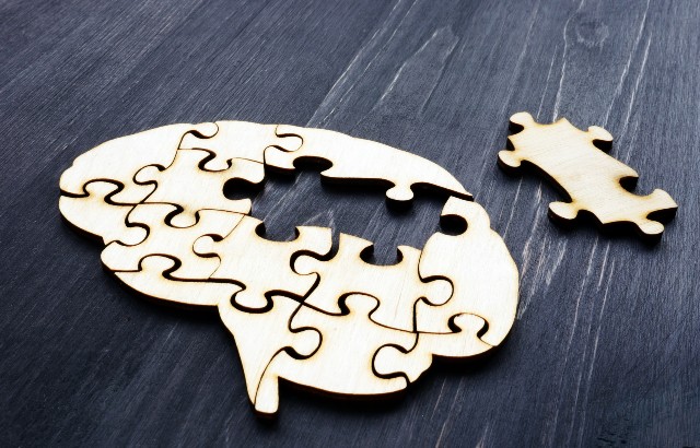 Brain from wooden puzzles