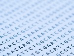 A snapshot of genetic code