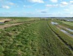 The view east along Hadleigh Marsh Landfill