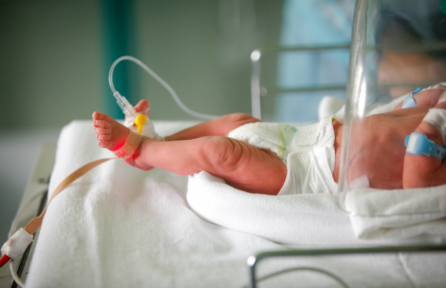 Premature baby in an incubator. Credit: CatEyePerspective/iStock.com