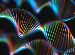 Image of DNA. Credit: ktsimage/iStock.com