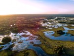 An aeriel photo of Brazilian wetlands. Credit https://www.istockphoto.com/photo/pantanal-photographed-in-corumb%C3%A1-mato-grosso-do-sul-pantanal-biome-brazil-gm1091836810-292934028