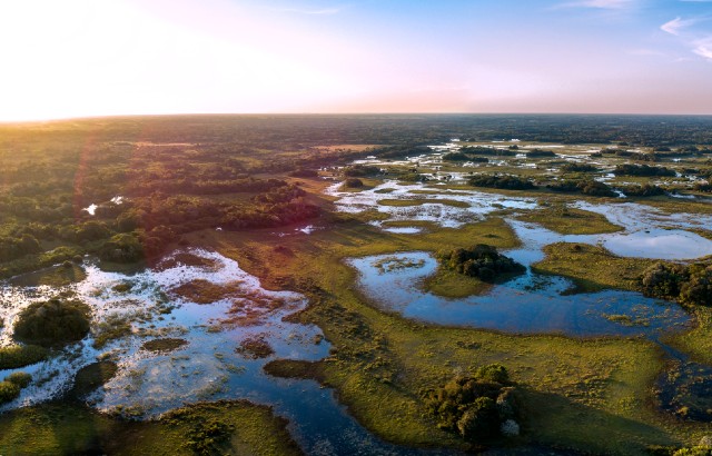 An aerial photo of Brazilian wetlands in Corumbá, Mato Grosso do Sul. Credit istock.com/LeoMercon