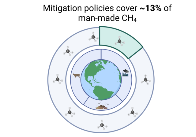 Global review of methane policies