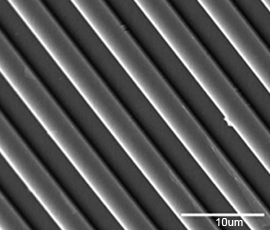 The primary cilia were grown on micro-grooves 10 micrometres in size.
