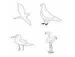 The program could successfully identify a seagull, pigeon, flying bird and standing bird better than humans (Credit: Mathias Eitz, James Hays and Marc Alexa)