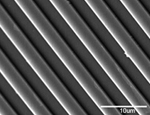 The primary cilia were grown on micro-grooves 10 micrometres in size.