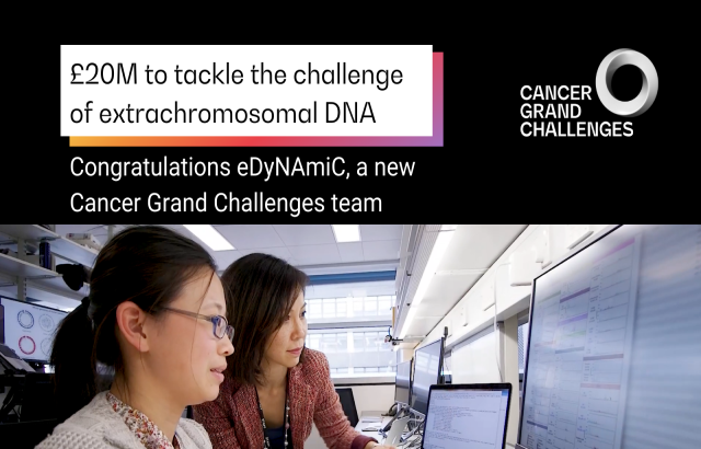 Graphic for Cancer Grand Challenges