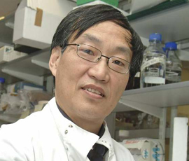 Professor Ping Wang