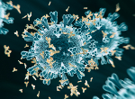 SARS-CoV-2 virus particle surrounded by antibodies. Credit: koto_feja/ iStock.com