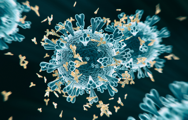 SARS-CoV-2 virus particle surrounded by antibodies. Credit: koto_feja/ iStock.com