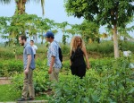 The QMUL team also visited a traditional herbal medicine garden in Ben Tre province.