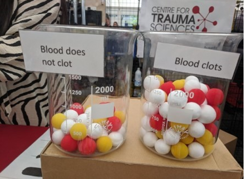 Two beakers labelled Blood Does Clot and Blood Does No Clot are filled with yellow, white and red balls.