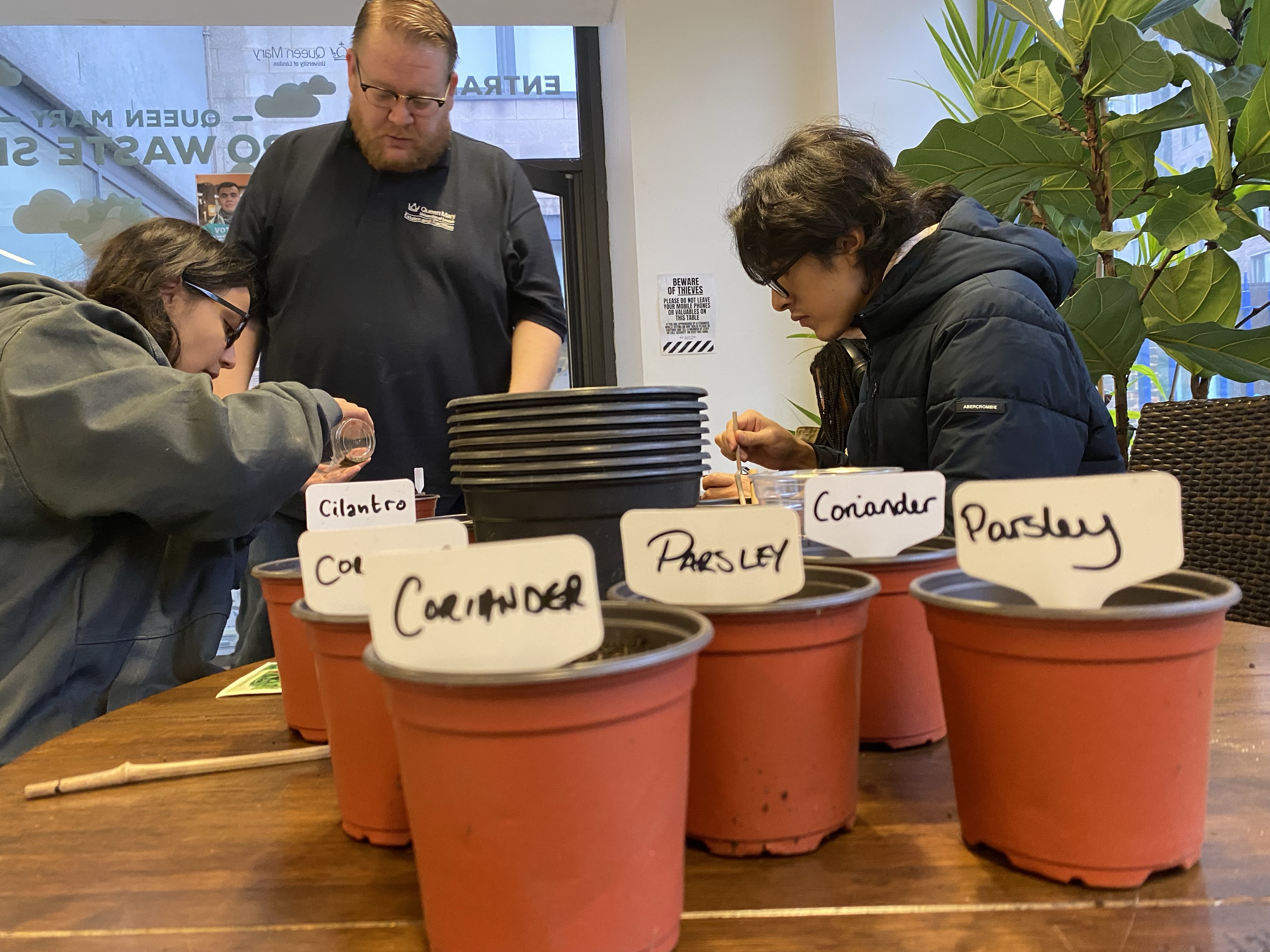 Newly-planted herbs in the Zero Waste Shop and students learning how to take care of them from the Grounds Manager as part of Climate Action Week.