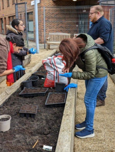 Students planting vegetables in the raised bed allotments with the groundskeeper.