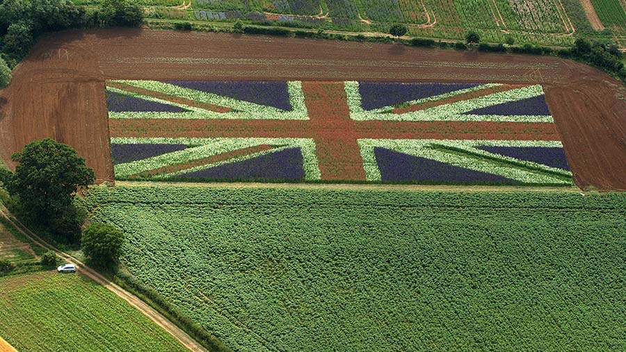 The Union Jack grown in a field of flowers, photo taken from the air