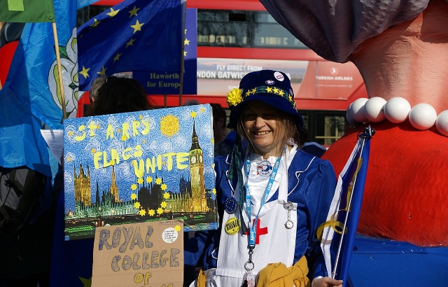 brexit demonstrator in westminster