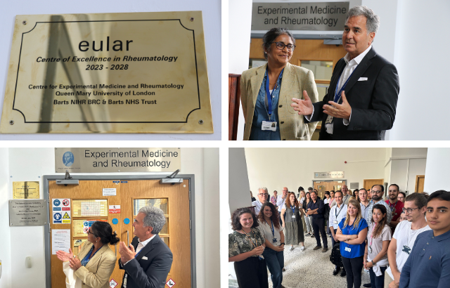 Images of EULAR plaque, Prof Costantino Pitzalis, Prof Amrita Ahluwalia, and researchers from teh Centre for Experimental Medicine and Rheumatology at Queen Mary University of London. .