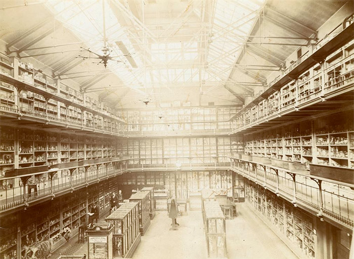 Barts Pathology Museum - photo courtesy of The Royal London Hospital Archives