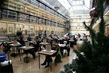 Taxidermy class at the museum