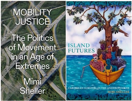 Mobility Justice: a conversation with Professor Mimi Sheller 