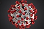 Coronavirus sphere with red spikes