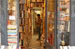 Bookshop - Image credit - Furcifer pardalis