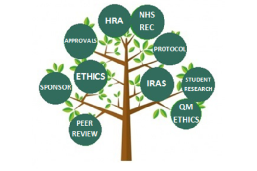 A tree graphic with various topics for discussion as leaves