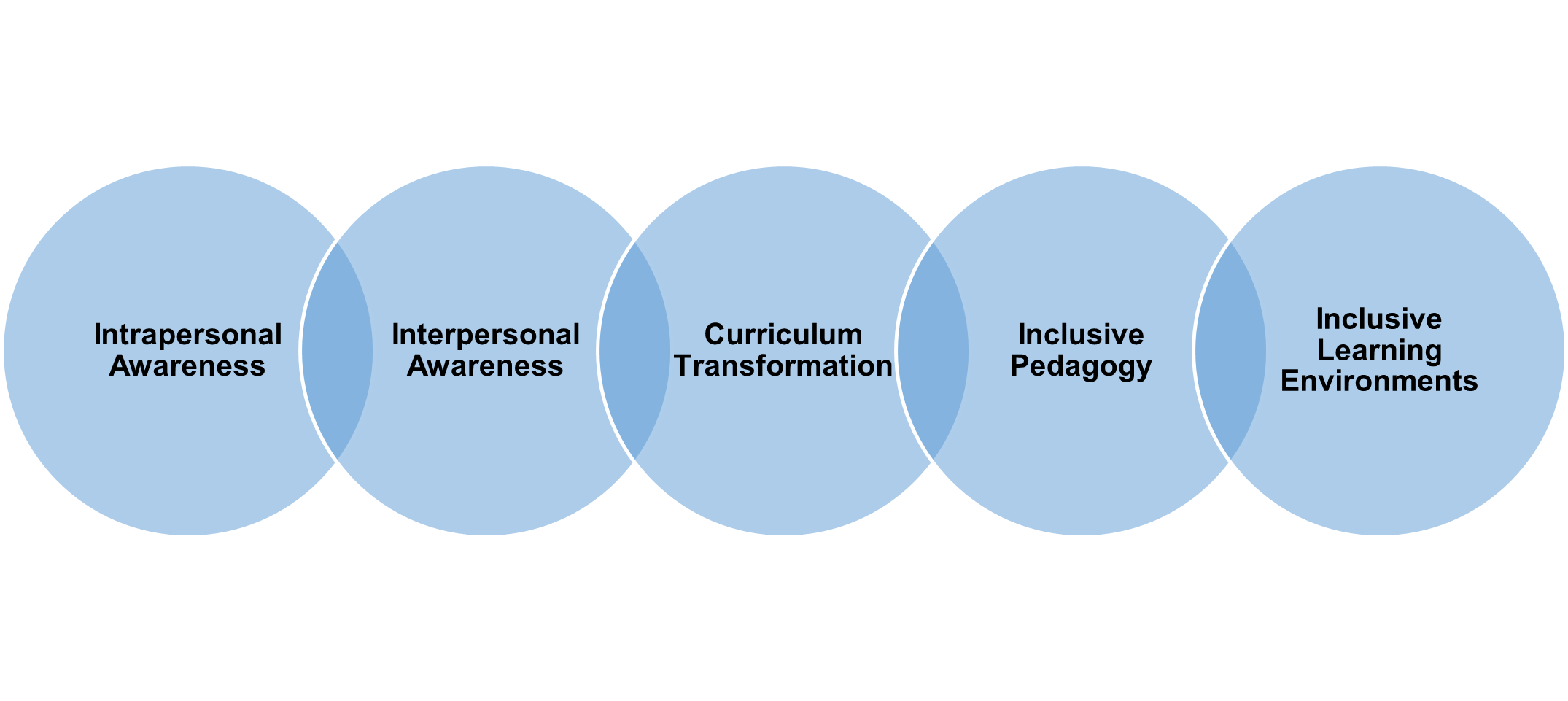 A diagram illustrating the five dimensions of Salazar et al. (2010) framework for inclusive excellence.