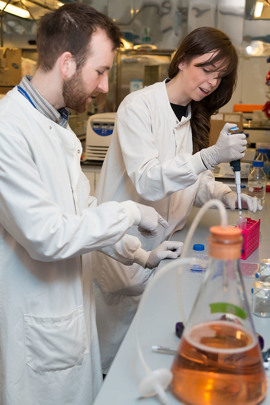 Two students work together in a lab